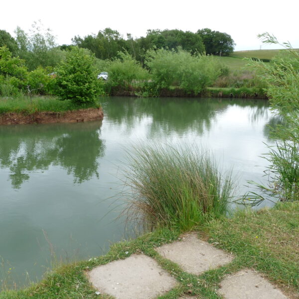 Alcott Farm Fishery