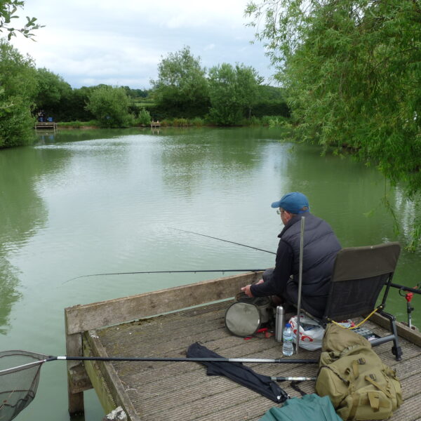 Beautiful Alcott Farm Fishery- Fishing lakes near Birmingham