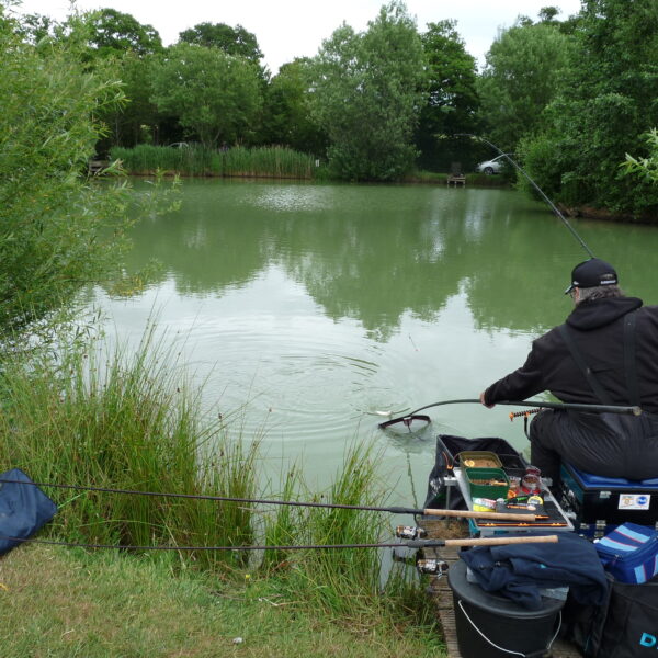 Beautiful Alcott Farm Fishery- Fishing lakes near Birmingham