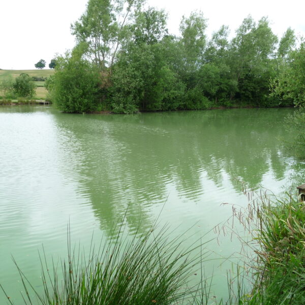 Beautiful Alcott Farm Fishery- Fishing lakes near Birmingham