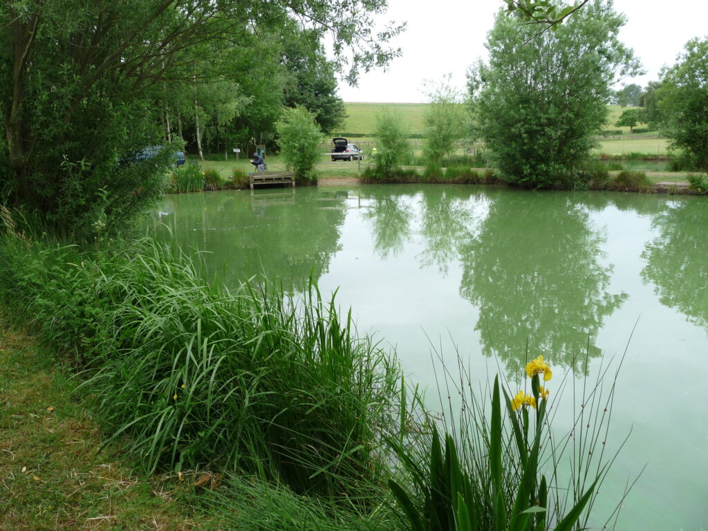 Alcott Farm Fishery