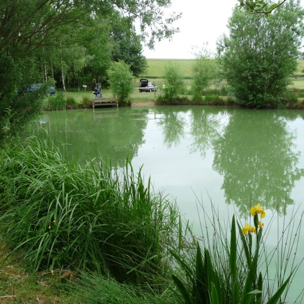 Alcott Farm Fishery