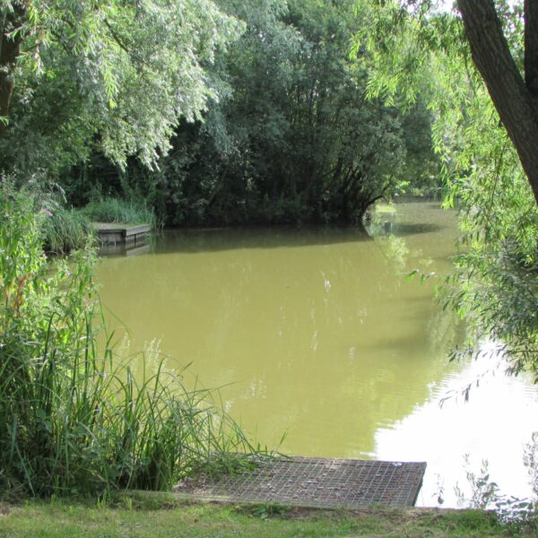 A12 Cuton Lakes - Fishery and fishing lake in Essex