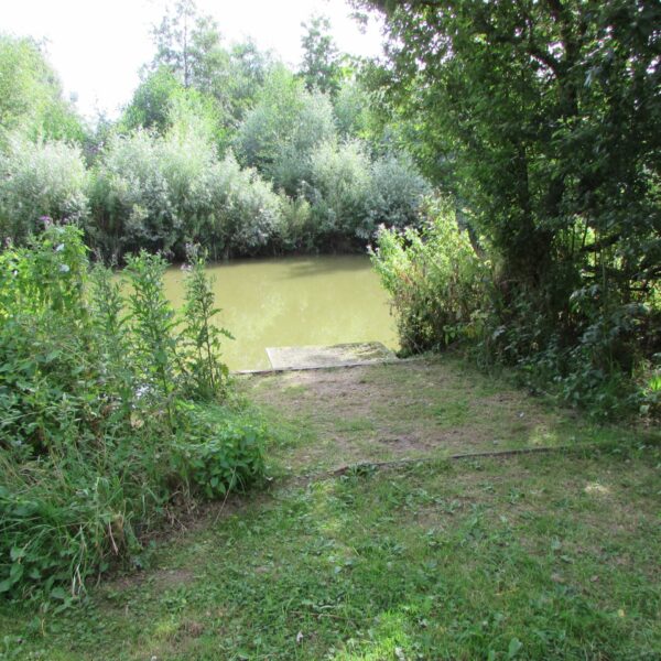 A12 Cuton Lakes - Fishery and fishing lake in Essex