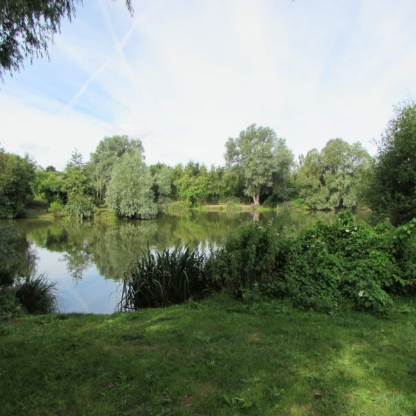 A12 Cuton Lakes - Fishery and fishing lake in Essex