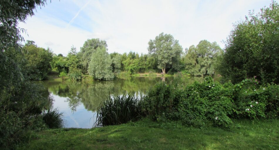 A12 Cuton Lakes - Fishery and fishing lake in Essex