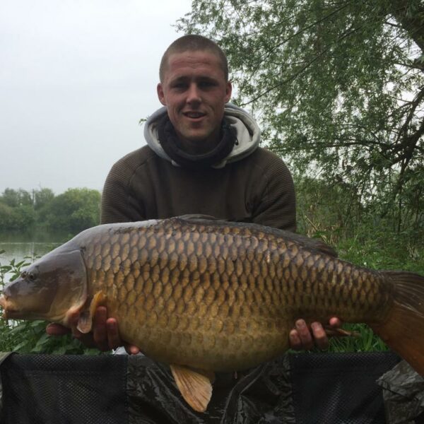 A12 Cuton Lakes - A lovely Common Carp