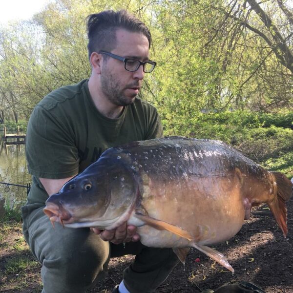 A12 Cuton Lakes - A smashing Mirror Carp