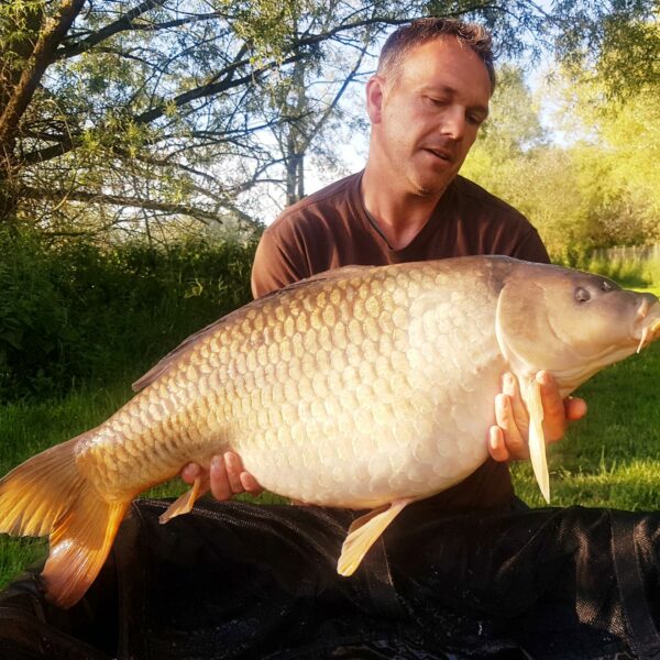 A12 Cuton Lakes - Common Carp