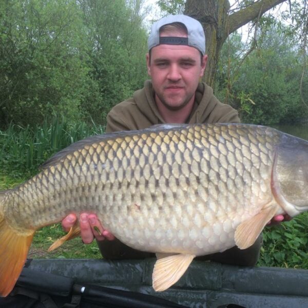 A12 Cuton Lakes - A fantastic Common Carp