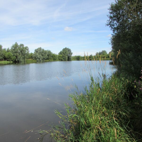 A12 Cuton Lakes - Fishery and fishing lake in Essex