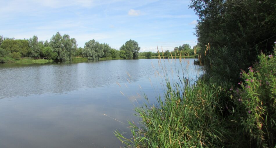 A12 Cuton Lakes - Fishery and fishing lake in Essex