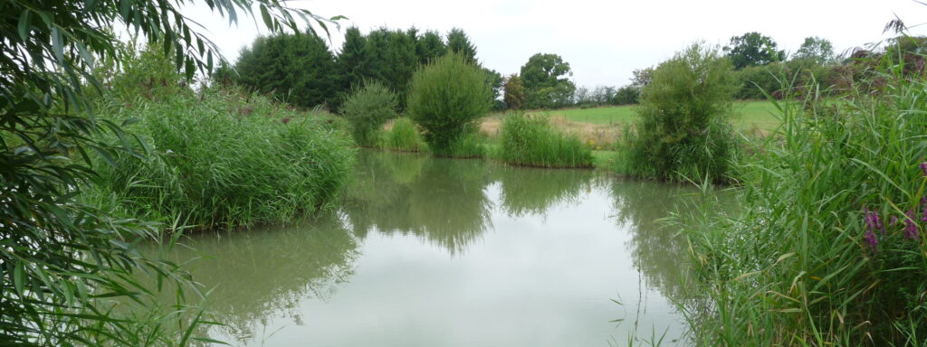 Blythe Waters Fishery