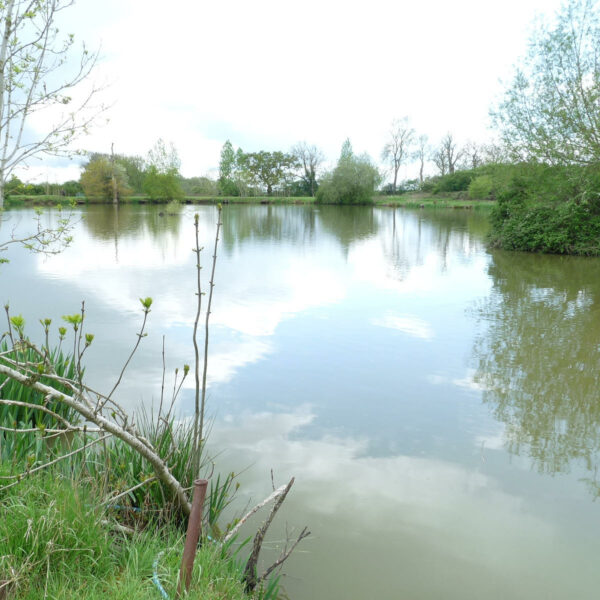 Broad Acres Fishery