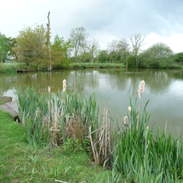 Broad Acres Fishery