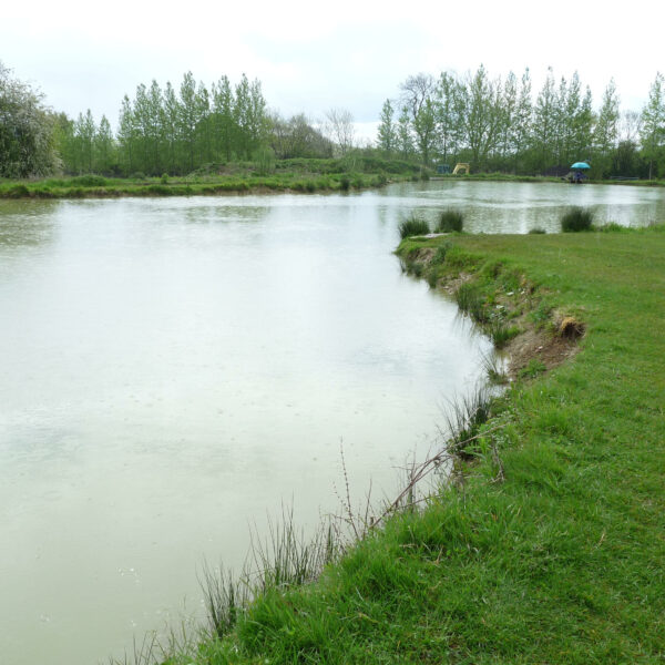 Broad Acres Fishery