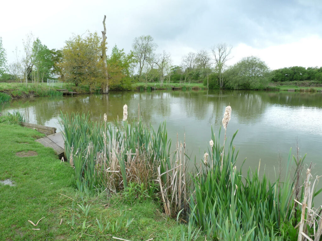 Broad Acres Fishery