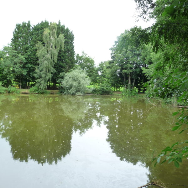 Top Lake at Evesbatch Fishery in Herefordshire