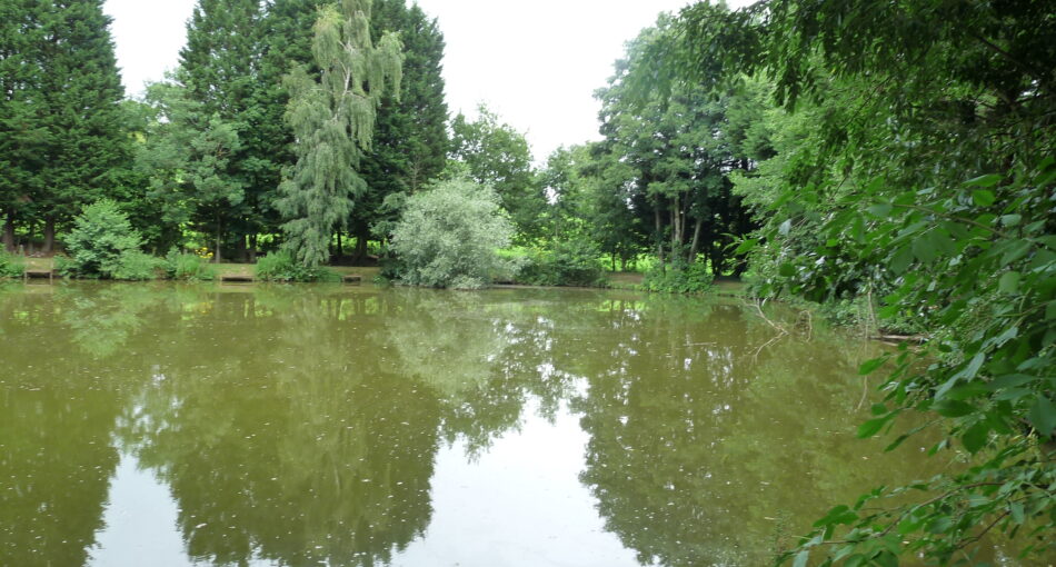 Top Lake at Evesbatch Fishery in Herefordshire