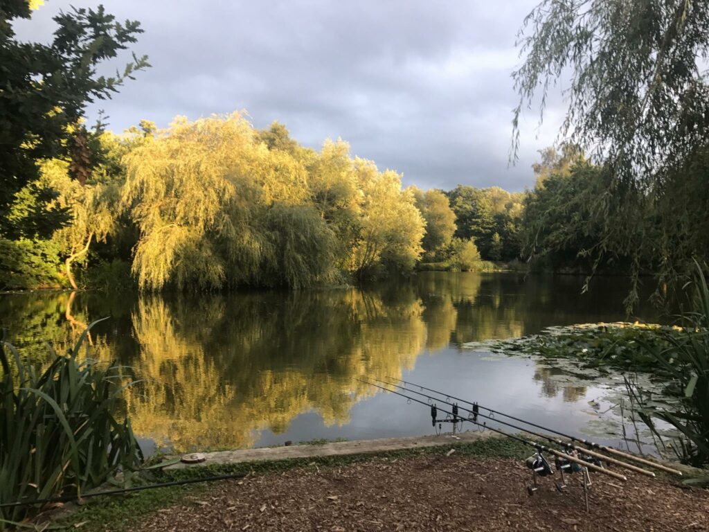 Beaver Farm Fishery