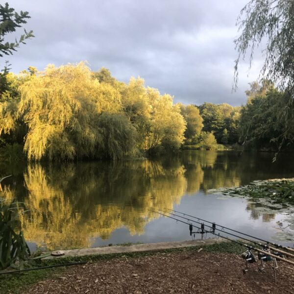 Beaver Fishery