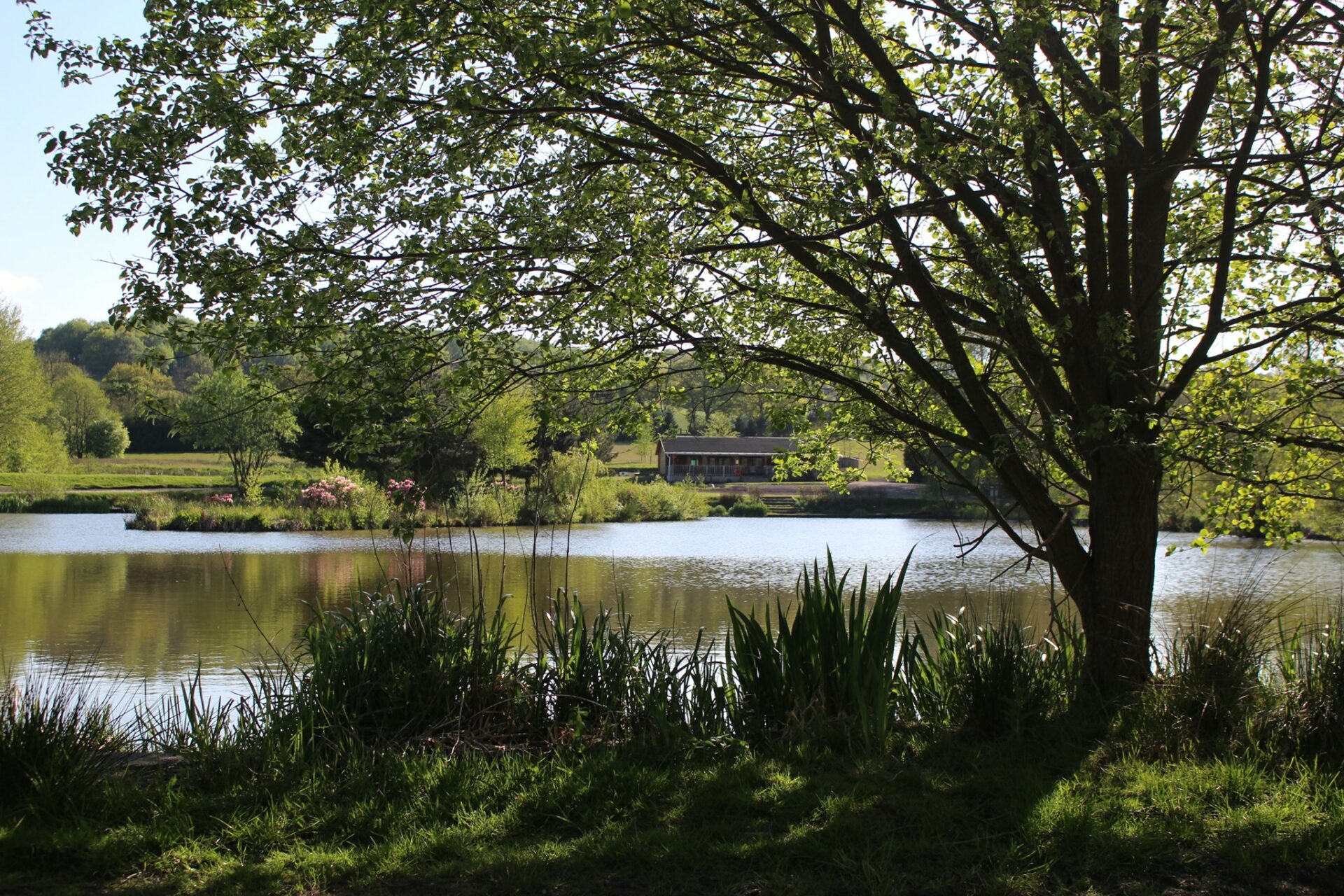 Blake shop hall fisheries