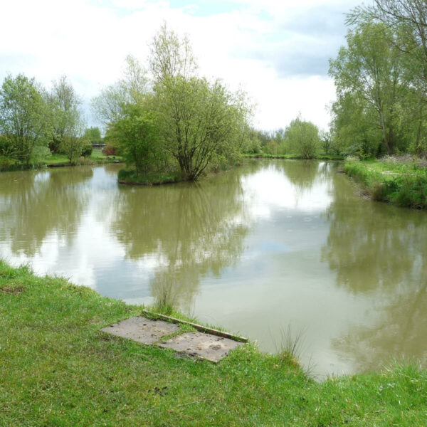 Broad Acres Fishery