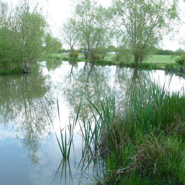 Broad Acres Fishery