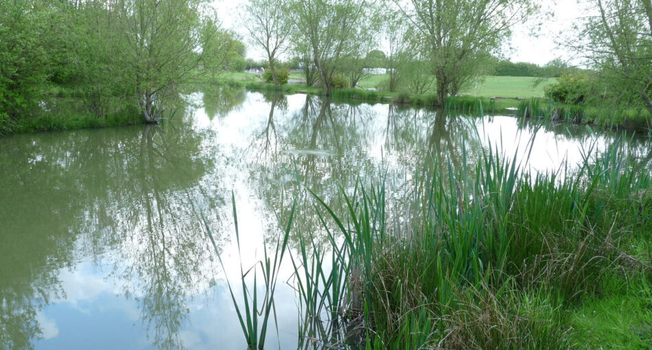 Broad Acres Fishery