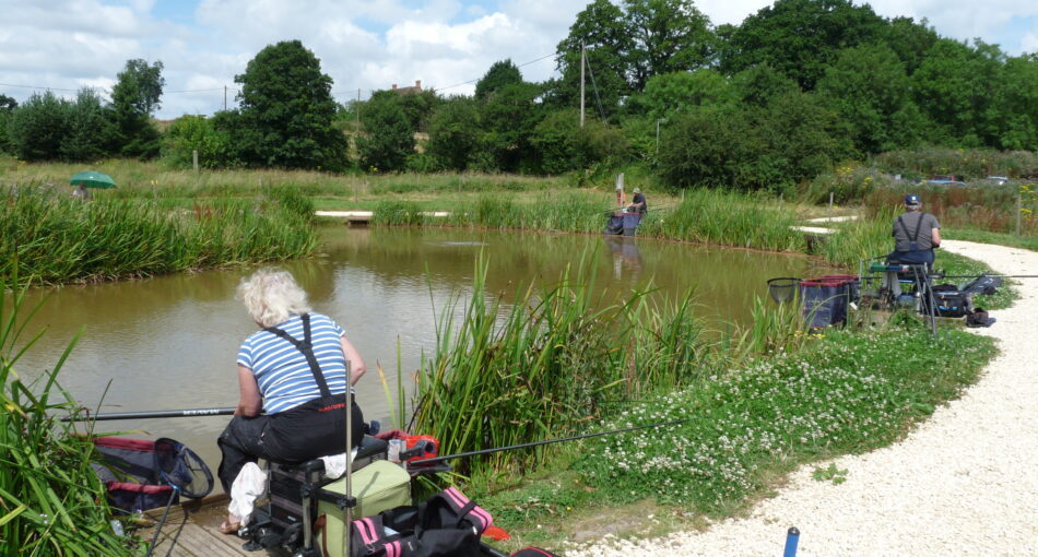 Canal Pool at Alvechurch Fisheries