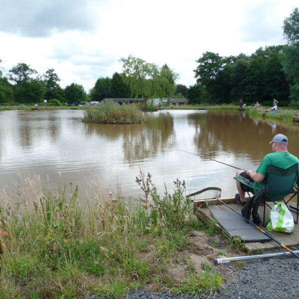 Alvechurch Fishery, Birmingham, West Midlands