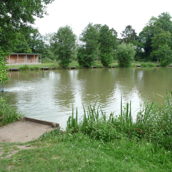 Horseshoe Lake at Alvechurch Fisheries