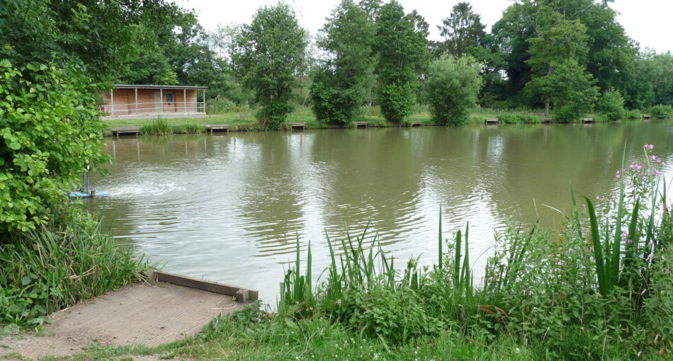 Horseshoe Lake at Alvechurch Fisheries