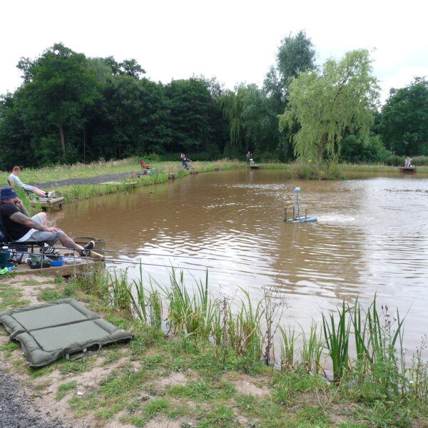 House pool at Alvechurch Fishery, Birmingham, West Midlands