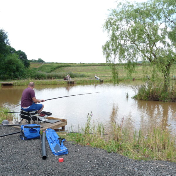 House Pool at Alvechurch Fishery, Birmingham, West Midlands