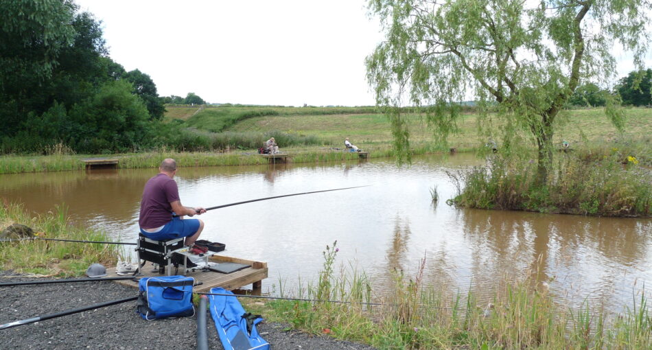 House Pool at Alvechurch Fishery, Birmingham, West Midlands