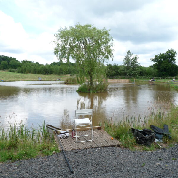 Alvechurch Fishery, Birmingham, West Midlands