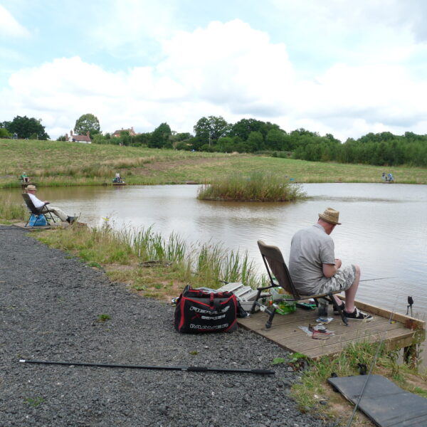 Alvechurch Fishery, Birmingham, West Midlands