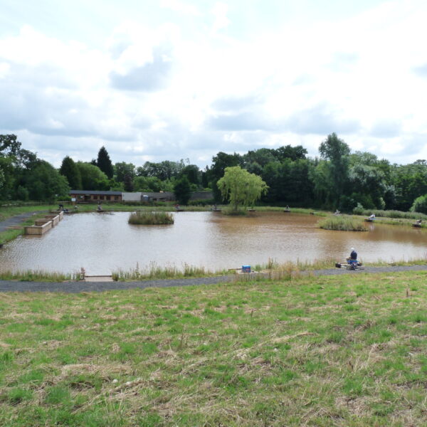 Alvechurch Fishery, Birmingham, West Midlands