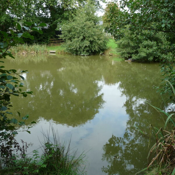 Main Lake at Nine Oaks Angling Centre in west Wales