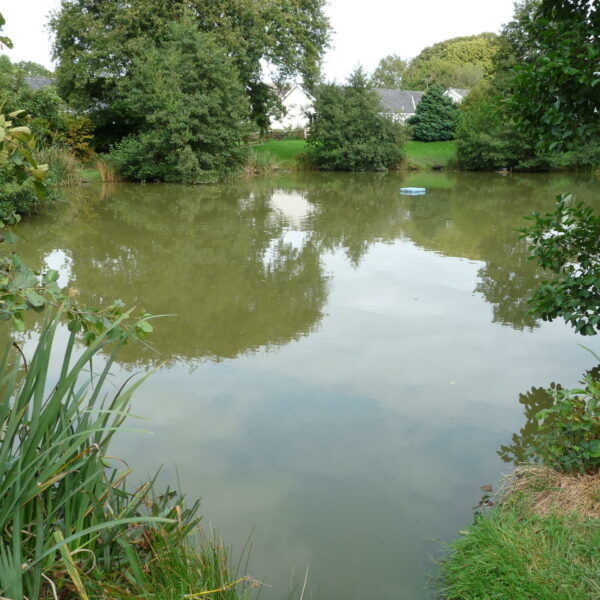 Main Lake at Nine Oaks Angling Centre in west Wales