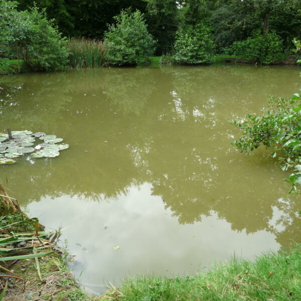 Main Lake at Nine Oaks Angling Centre in west Wales