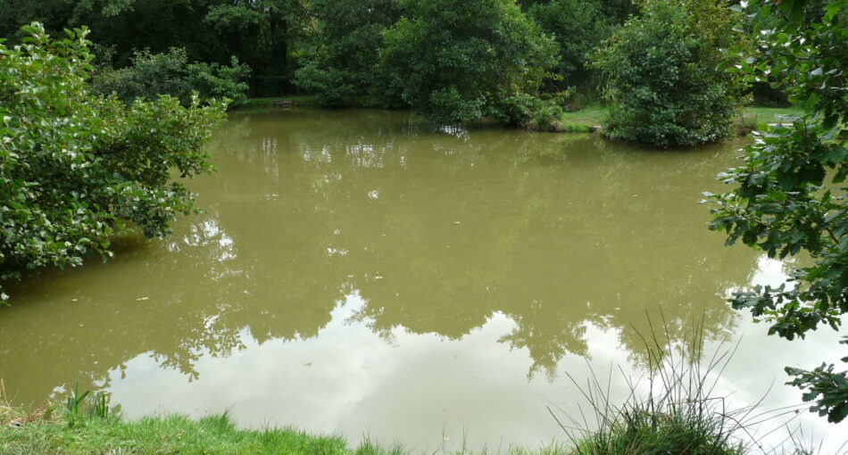 Main Lake at Nine Oaks Angling Centre in west WalesFishery and