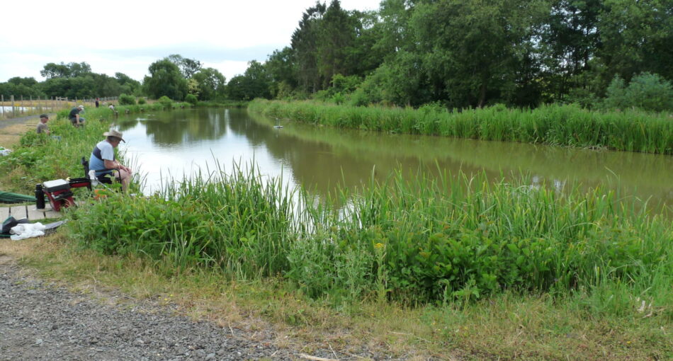 Arrow match and pleasure fishing pool at Alvechurch Fisheries in Barnt Green, Worcestershire