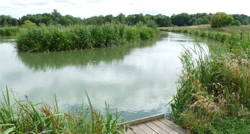 Canal Match Pool at Alvechurch Fisheries in Barnt Green, Worcestershire