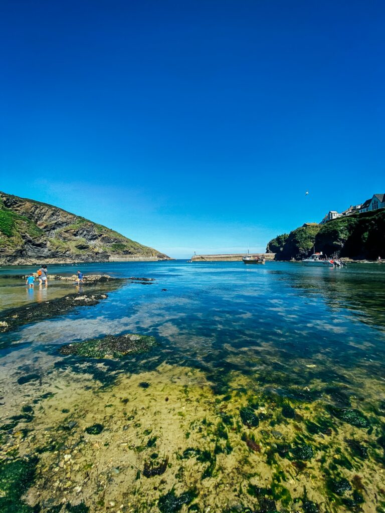 Cornwall has some spectacular coastline offering fishing from both shore and boat.