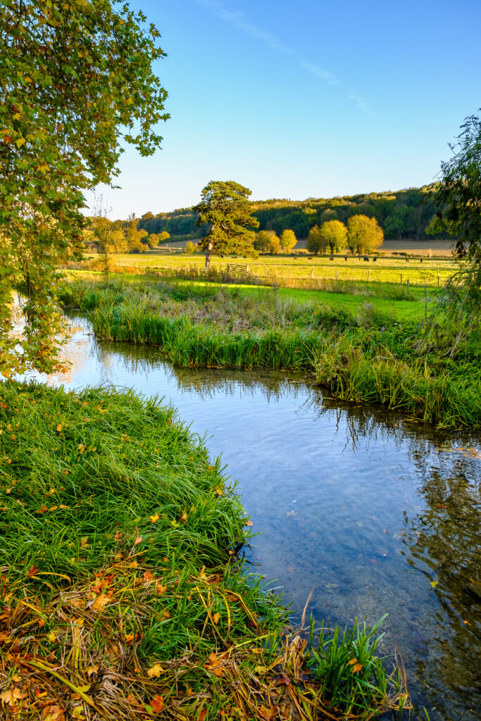 Fishing the beautiful river Chess in the Chilterns