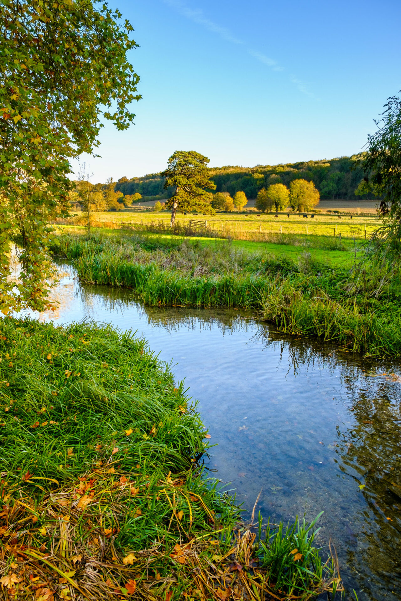 The canal and River Trust