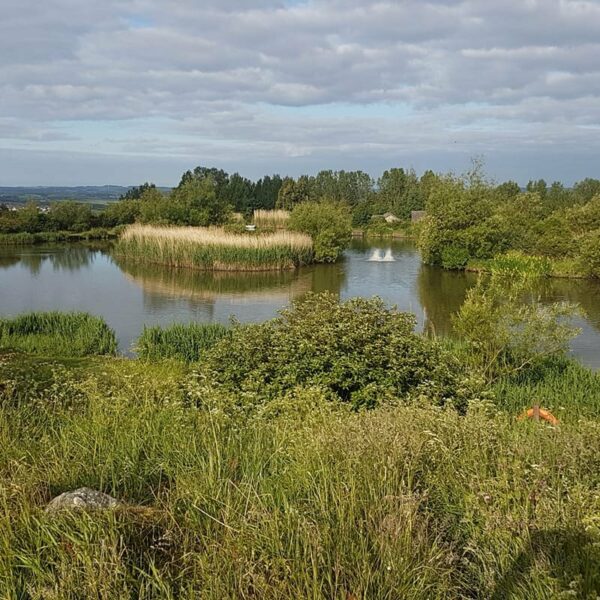 Angel of the North Fishing Lakes