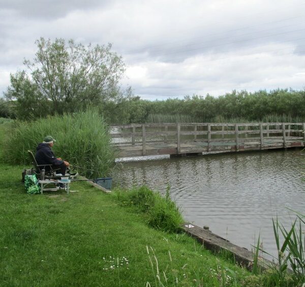 Angel of the North Fishing Lakes